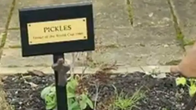 Pickles descansa en el jardín de la casa que Corbett pudo comprar gracias a él. La placa dice: "Pickles, el que halló la Copa Mundial de 1966".