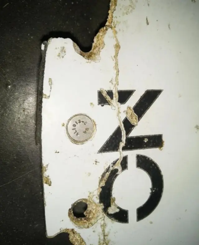 在莫桑比克新發現的物塊近攝圖片