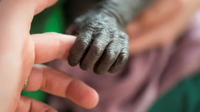 Детеныш гориллы в Бристольском зоопарке