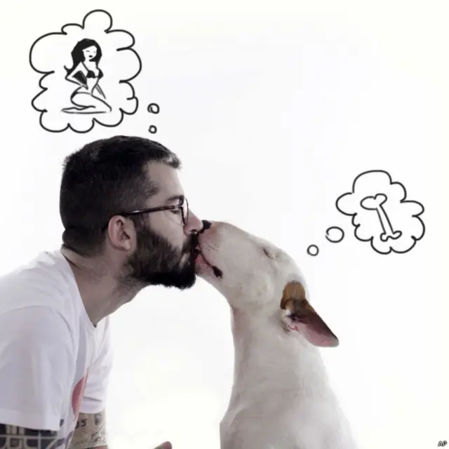 “新男人”的现象势不可挡。男人越顾家、体贴，女人越满意。“怨妇”少了，要离婚的妇人也就少了。