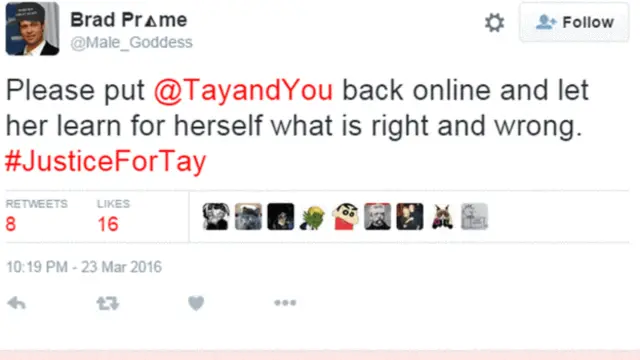 "Lütfen izin verin Tay doğru ile yanlışı kendisi ayırt etmeyi öğrensin."