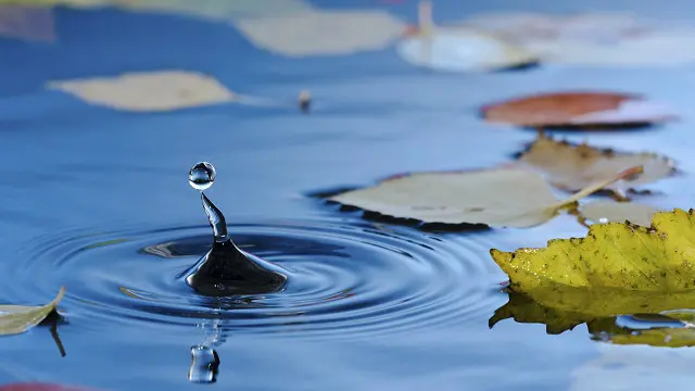Vital, hermosa, peligrosa, pero además curiosamente única.