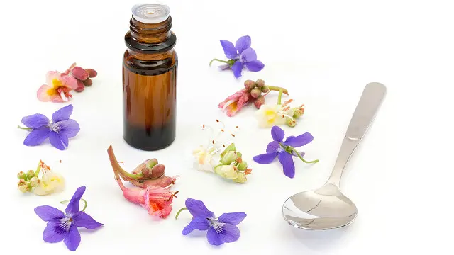 ¿Podrá realmente recordar lo que tuvo adentro?