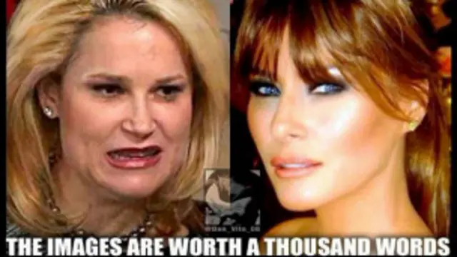 ترامپ هم این تصویر را بازتوییت کرد که به نوعی قیافه همسر خودش ملانیا (سمت راست) را با قیافه هایدی همسر تد کروز (سمت چپ) مقایسه می‌کند.