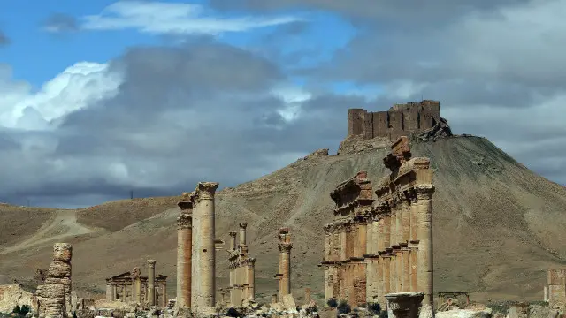 Palmyra 