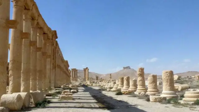 Общий вид на Пальмиру после освобождения - многие руины выглядят лучше, чем ожидали специалисты