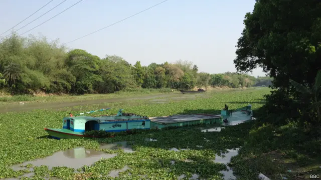 নড়াইল অংশে চিত্রা নদী।