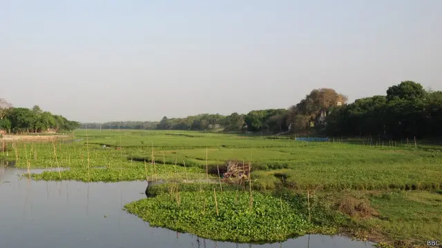 কোথাও কোথা্‌ও নদীর বুকে চাষাবাদ হচ্ছে।