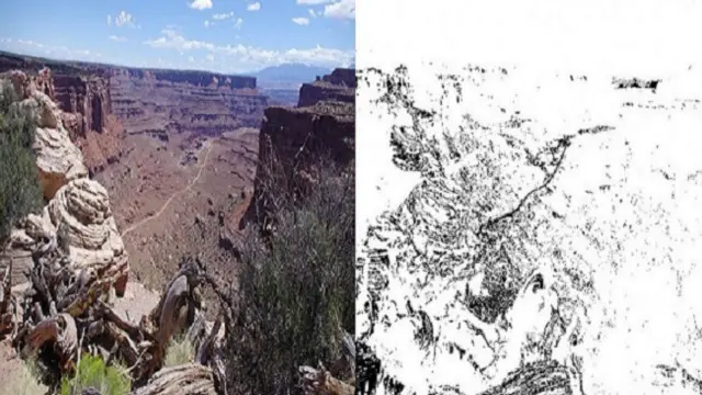 أتاحت التجارب التي أجرتها جيمسون الفرصة لها لبلورة نموذج يحاكي القدرات البصرية التي تحظى بها أنتيكو. وتكشف النقاط السوداء عن المناطق التي تتأثر بقدرات الخلايا المخروطية الإضافية لدى أنتيكو، وهي تغطي تقريبا ثلث الصورة