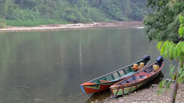 Canoas en el río
