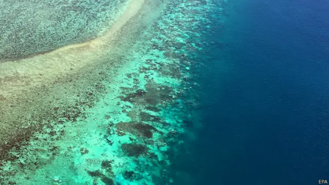 La Gran Barrera de Coral