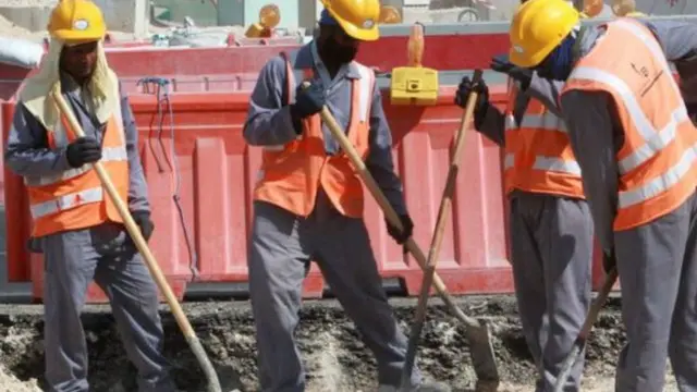 التقت المنظمة 231 عاملا غالبيتهم وافدون من جنوب شرق آسيا