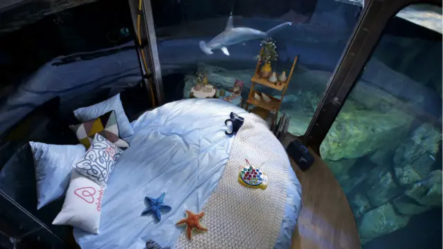 El "hotel" en el acuario de París