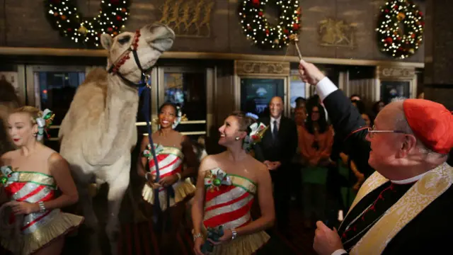 Кардинал Тимоти Долан благословляет верблюда в Нью-Йорке