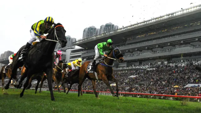 香港沙田马场赛马活动（13/12/2015）