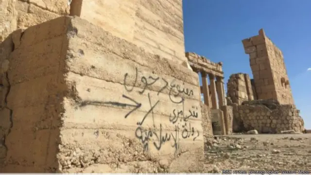 حکومتی افواج نے حال ہی میں شدت پسند تنظیم دولت اسلامیہ کو شکست دیکر قدیمی شہر پیلمائرا پر دوبارہ کنٹرول حاصل کیا ہے