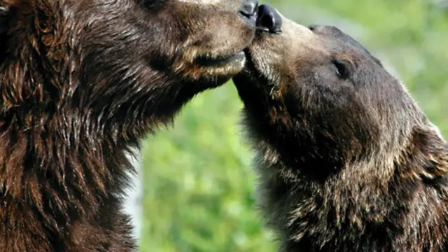 (图片来源: Thinkstock)