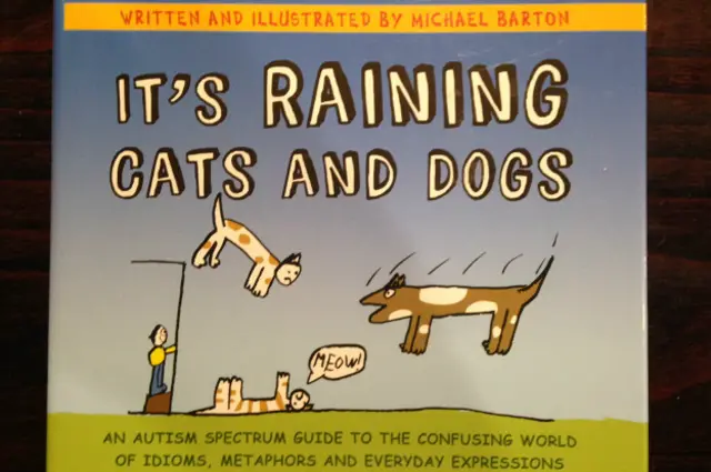 Книга "Льет как из ведра"