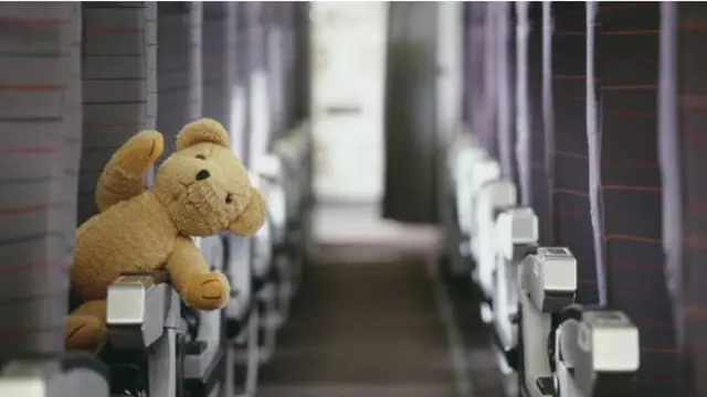 Menurut beberapa maskapai, layanan untuk bisa memilih teman seperjalanan akan diminati pebisnis.