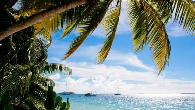 探訪查戈斯群島的遊客十分稀少(圖片來源: Diane Selkirk)