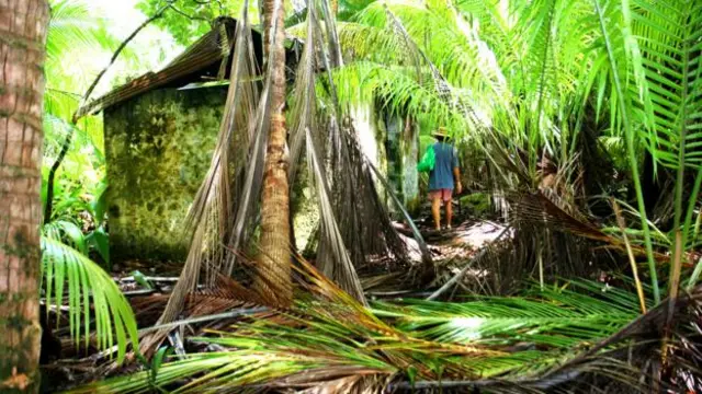 遺跡展示了被拋棄的海島過往 (圖片來源: Diane Selkirk)