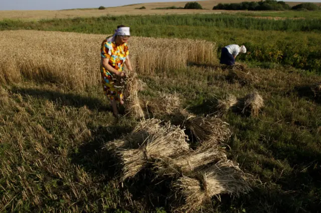 Доля аграрного сектора в глобальном ВВП продолжает снижаться. Вместе с этим снижается и доля промышленности по сравнению с сектором услуг