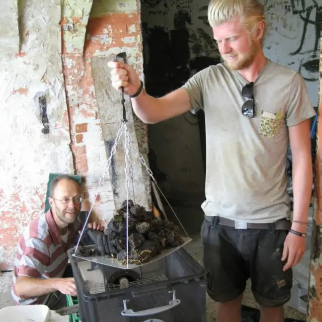 Cушка экспонатов в музее экскрементов, остров Уайт, Британия