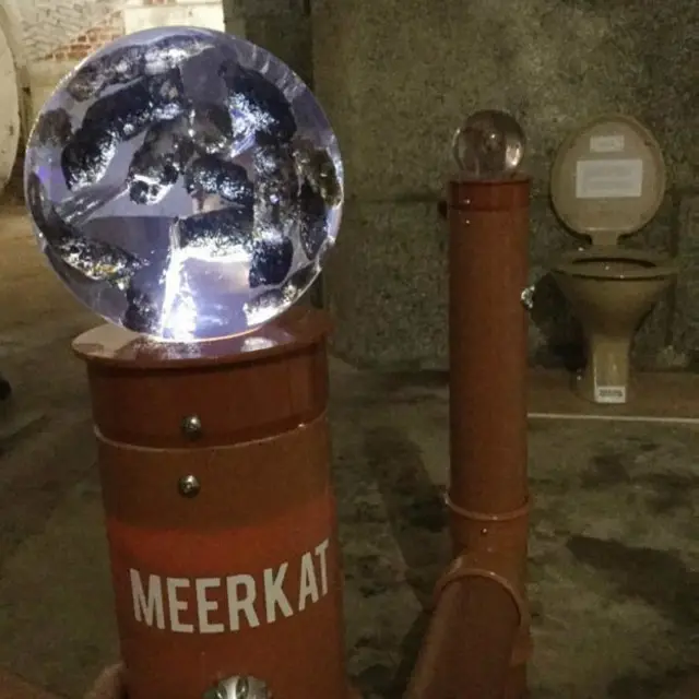 Экспонаты выставки экскрементов, остров Уйат, Британия