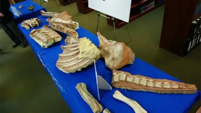 یہ شے امریکہ کے مختلف ریساستوں سے ملیں