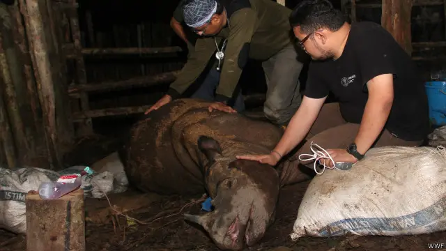 Najaq mati pada Selasa (05/04) dini hari.