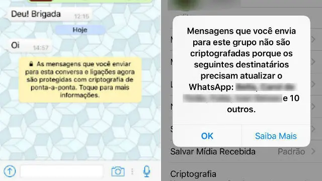 Foto: Reprodução WhatsApp