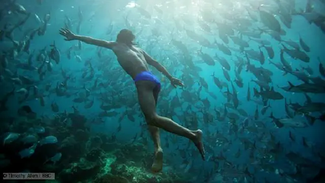 Orang Moken dewasa kehilangan kemampuan melihat jelas di dalam air.