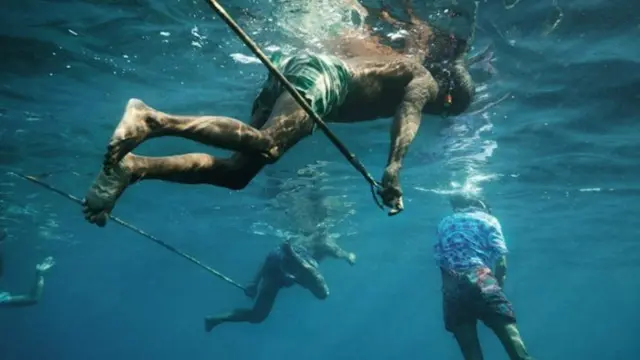 Orang dewasa berenang dengan menggunakan kaca mata renang.