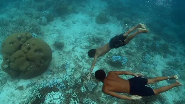 Anak-anak Moken begitu gampang mencari makanan di dalam laut.