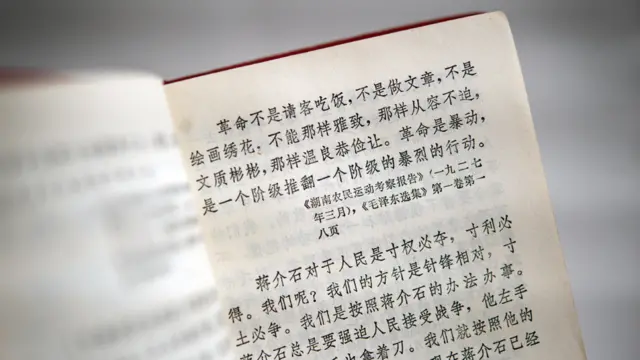 “Cách mạng không phải là một bữa tiệc, cũng không phải giống như viết những bài báo, hay vẽ những bức tranh; Nó không thể sang trọng, có tính giải trí hay dịu dàng. Cách mạng là một cuộc bạo loạn; nó là hành động bạo lực của một tầng lớp này để lật đổ một tầng lớp khác.”
Đây là câu trích dẫn từ một bài viết của Mao hồi năm 1927, nhưng nó được dùng rộng rãi vượt ra ngoài ngữ cảnh của nó vào thời kỳ những năm đầu cuộc Cách mạng Văn hóa để lý giải cho bạo động chống lại những gì bị coi là phản cách mạng, kỷ thù giai cấp và "những thành phần xấu" khác.