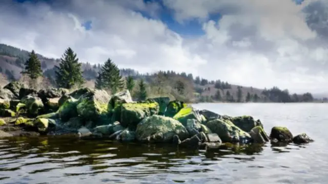 Galería de los lectores