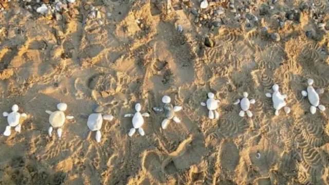 Galería de los lectores