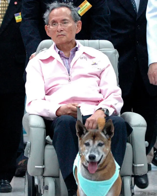 Bị cáo buộc tội lăng nhục chó của Vua Thái cũng có thể khiến người ta bị ngồi tù nhiều năm