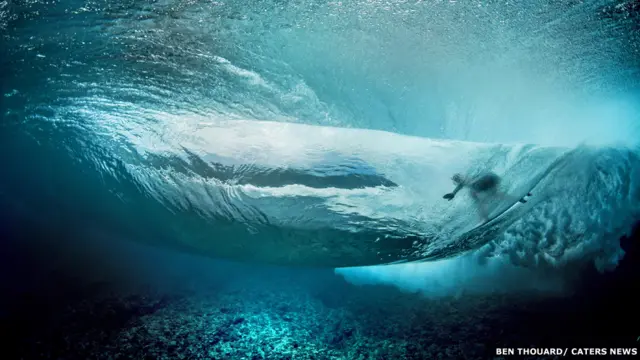 फ़ोटोः बेन ट्आ