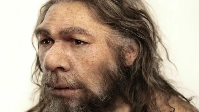 Hombre de Neandertal