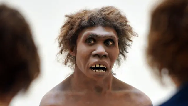 Hombre de Neandertal