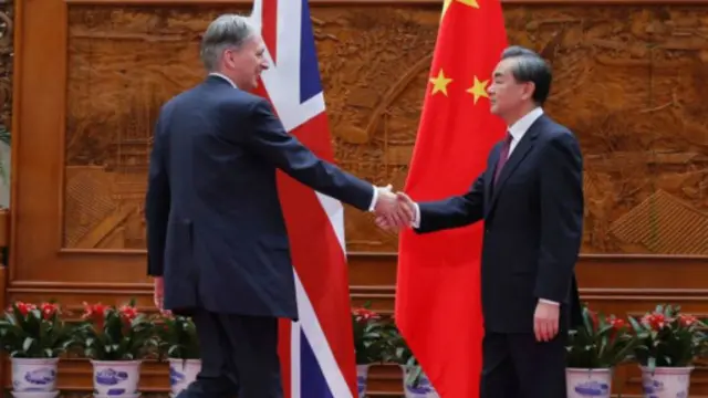 哈蒙德（左）与王毅会面