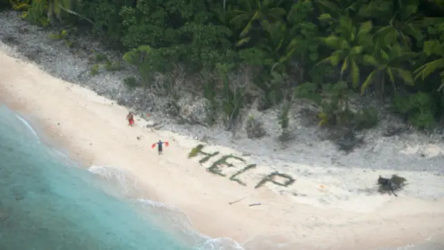 Palabra "ayuda" escrita con ramas de palmera