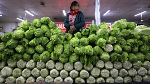 北京某菜市場裏的大白菜攤（11/4/2016）