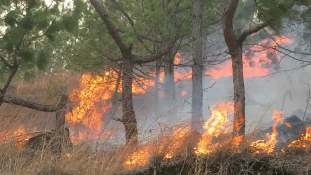 کله چې وچکالي وي او موسم هم تود وي نو ورته حالت د اور لګېدلو لپاره ښه حالت دی