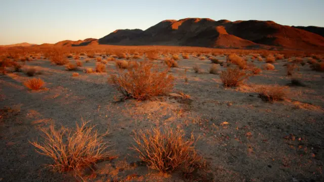 Desierto del Mojave