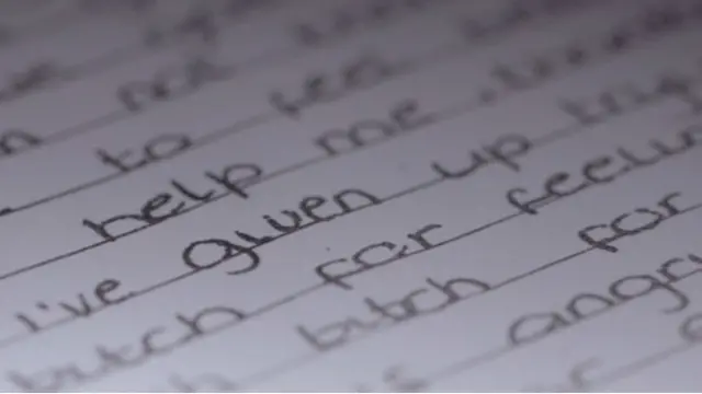 Diário revela que Sara era obcecada por suicídio