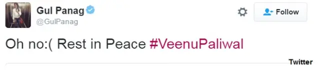 वीनू पालीवाल