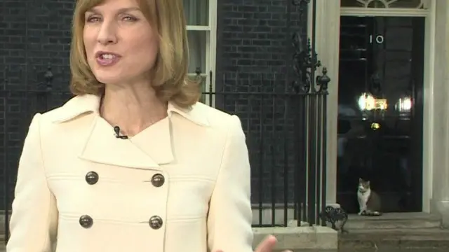 لری، گربه مقر نخستوزیری بریتانیا