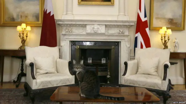 நிதியமைச்சரான ஜார்ஜ் ஆஸ்பர்னின் வீட்டில் வளர்க்கப்படும் ஃப்ரேயா மிகவும் துடுக்குத்தனமானது.